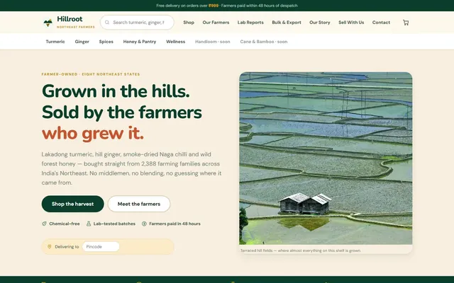 Home page of the Hillroot marketplace demo